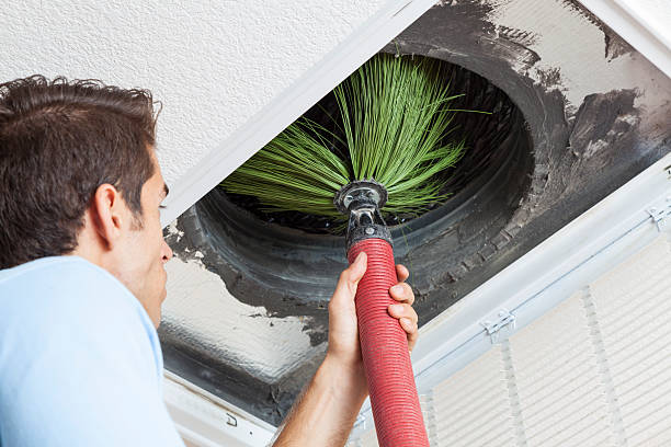 Air Duct Mold Removal in Wake Village, TX